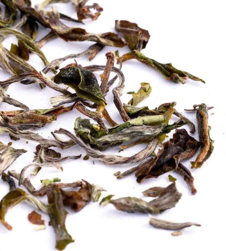 First Flush Darjeeling